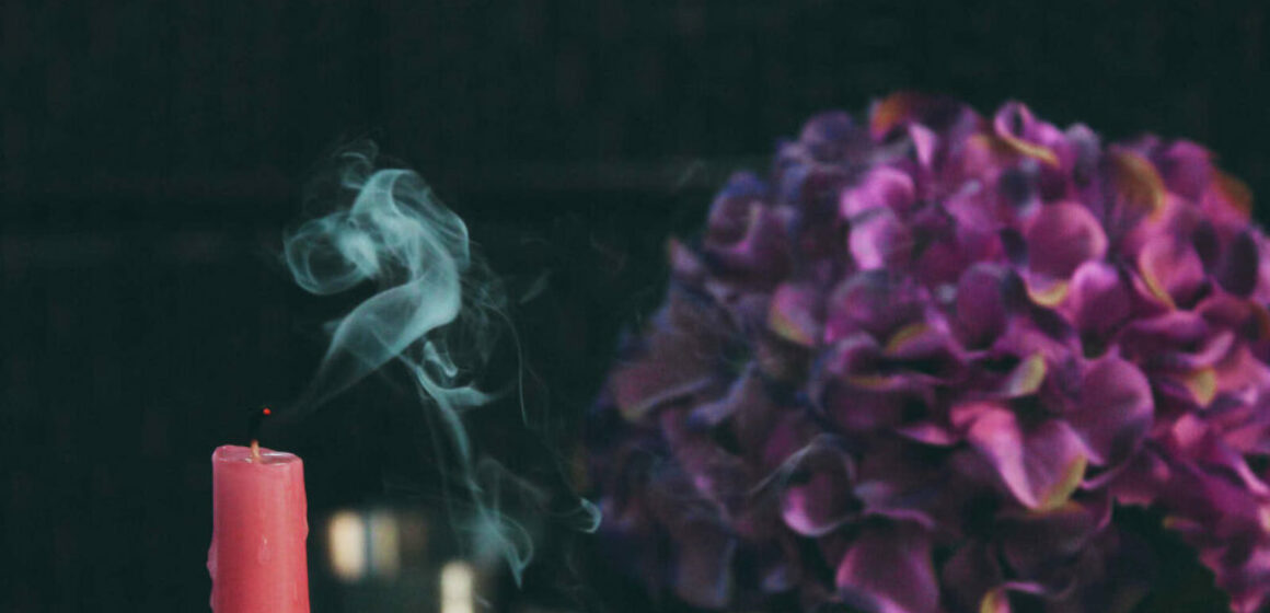 candle-blossom