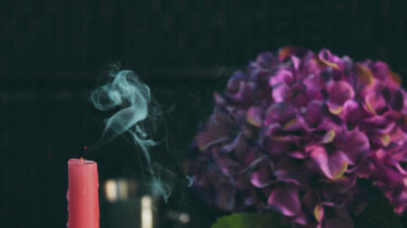 candle-blossom